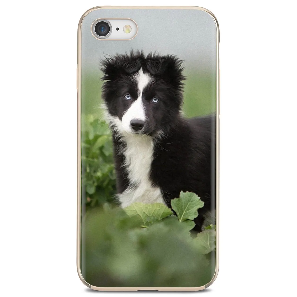 Силиконовый чехол Border Terrier Borzoi dog puppies для Huawei Y6 Y5 2019 Xiaomi Redmi Note 4 5 6 7 8 Pro Mi A1 A2 A3 6X 5X 7A |