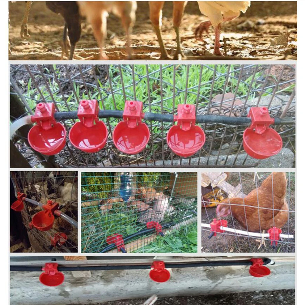 Набор из 10-автоматическая чашка-поилка для кур с кольцом-диспенсер воды птицы |