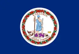 

Jimon 90x150cm official virginia state flag