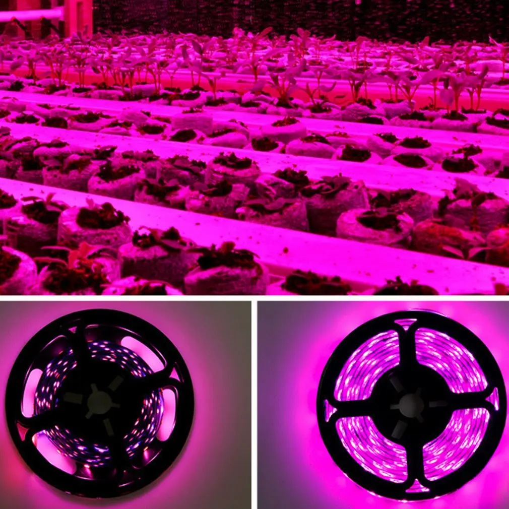 

3 Meters Waterproof LED Hydroponic Plant Growth Lamp For Flower Greenhouse Increase Yield Promote Growth Growth Lamp