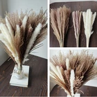 Натуральный сушеный цветок, букет пампаса, зайцехвост, трава, пшеничные уши, свадебное украшение, Сено для вечерние, богемное украшение для дома, Бракосочетание