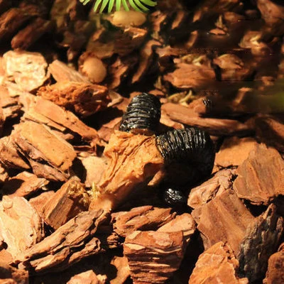 Имитация статуи ландшафтного орнамента пещера для рептилий искусственный Рино