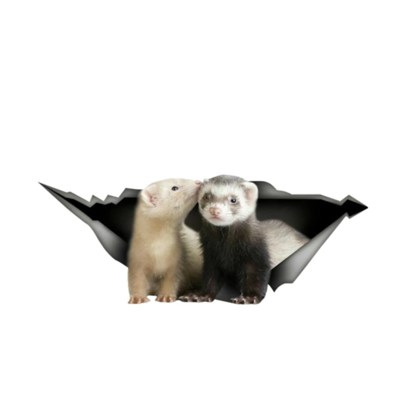 

13cm Ferret Sticker Laptop Pet Design PVC Decal Windows Laptop Bumper Sticker Animal Car Sticker