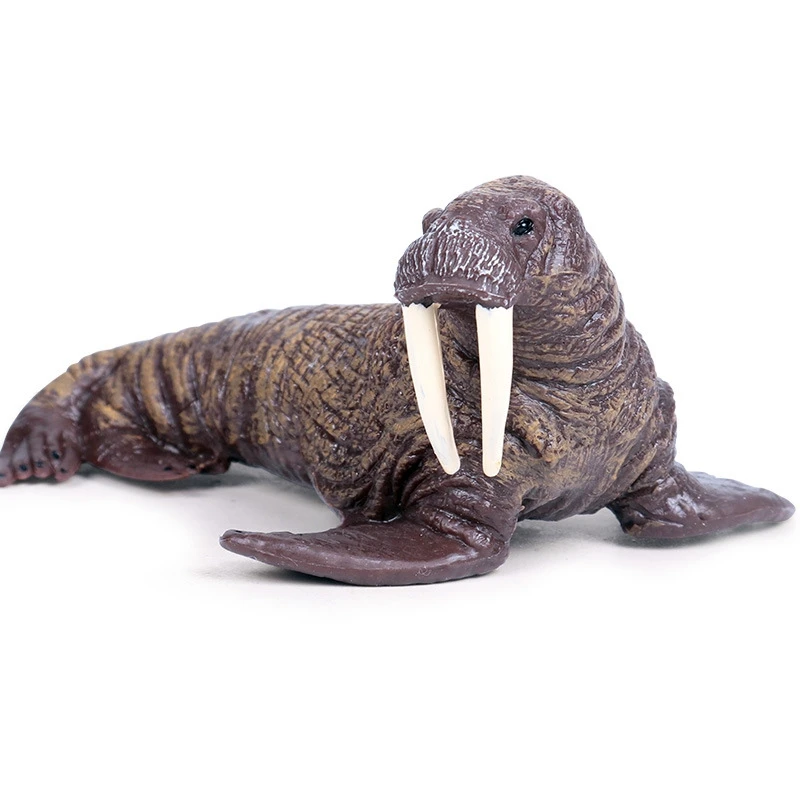 

Sea Life Animals Walrus Model Figurines Simulation Models Toys