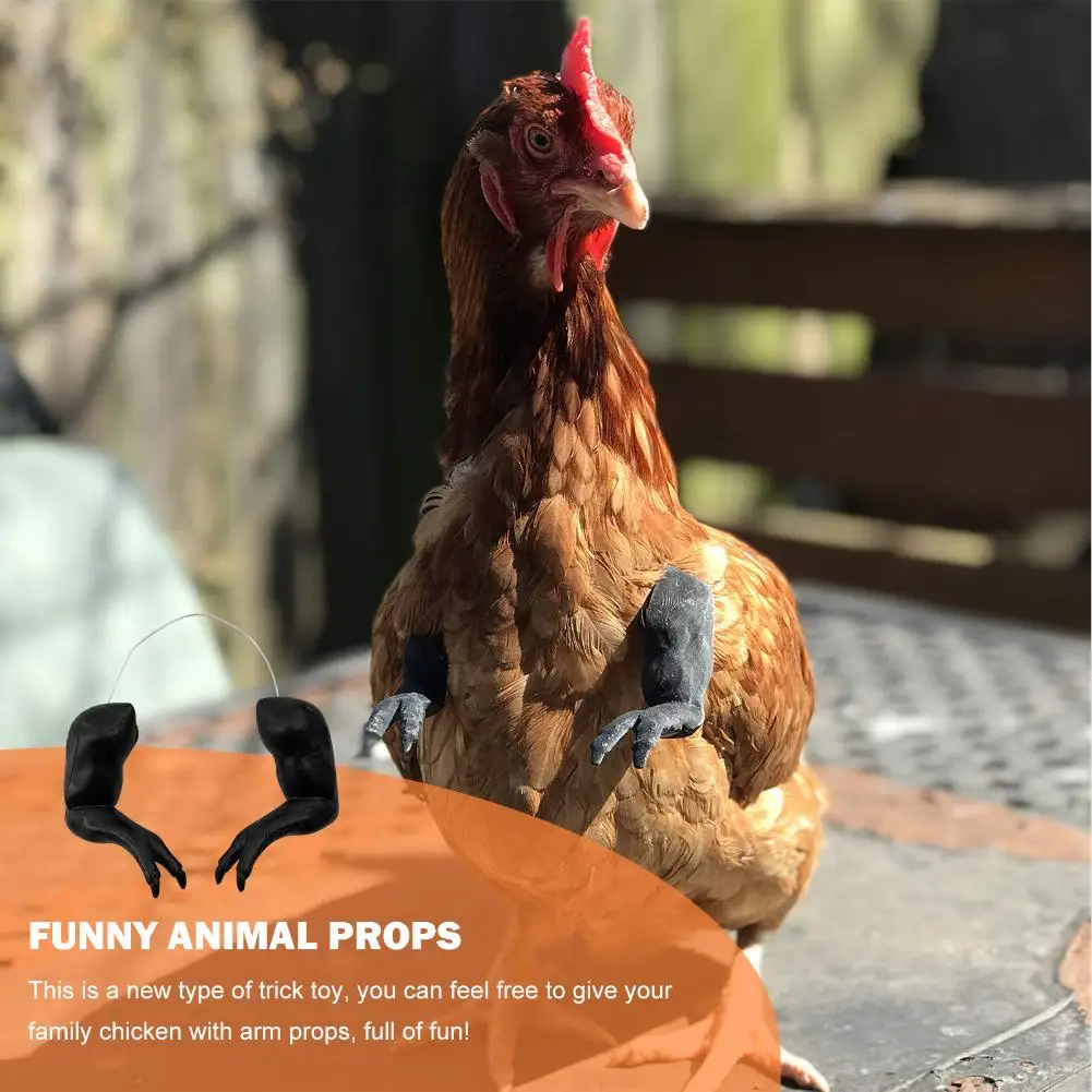 Игрушка на руку для кур 2 шт. | Игрушки и хобби