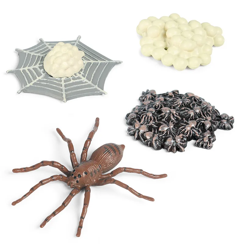 

Simulation Animal Model Child Mini Animal Spider Growth Cycle PVC Action Figures Doll toy for Kid Toddlers Educational Toys
