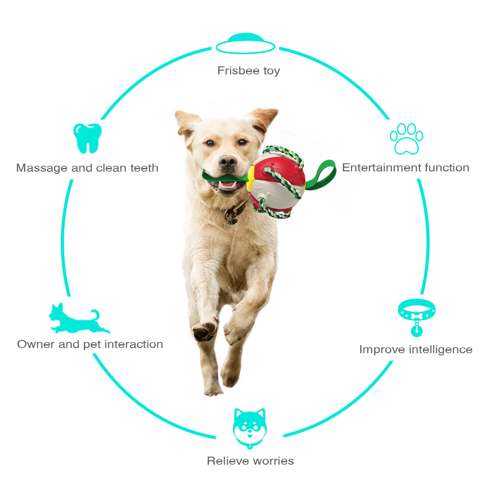 Игрушки для собак футбольный мяч с захватами интерактивные игрушки подарки