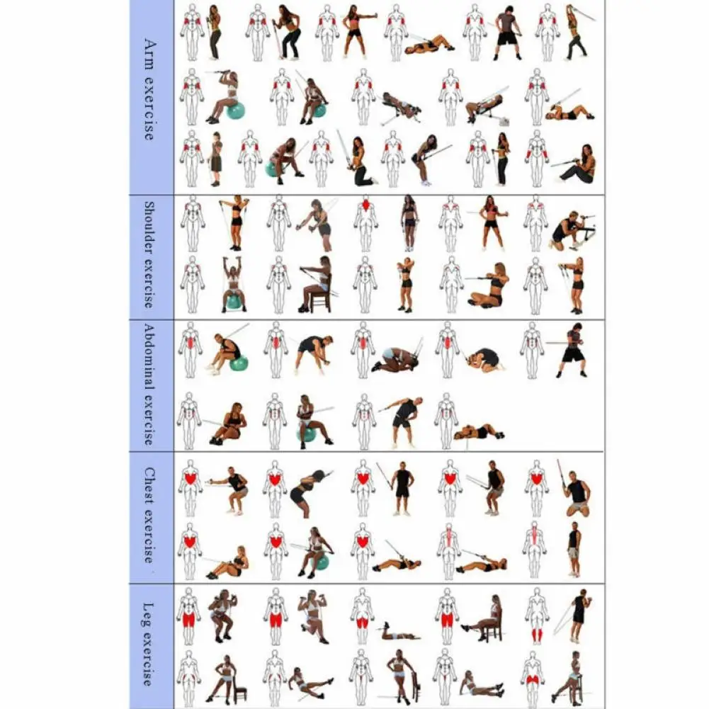 

11Pcs Home Gym Fitness Strength Training Workout Resistance Bands Pull Rope Set