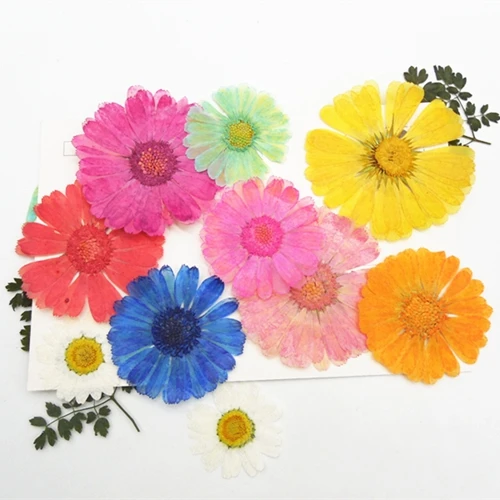 12pcs Natural Pressed Flowers rose Real Dried Calendula DIY Art Craft Valentines gift Bookmark Decoration Scented candle decor | Дом и сад