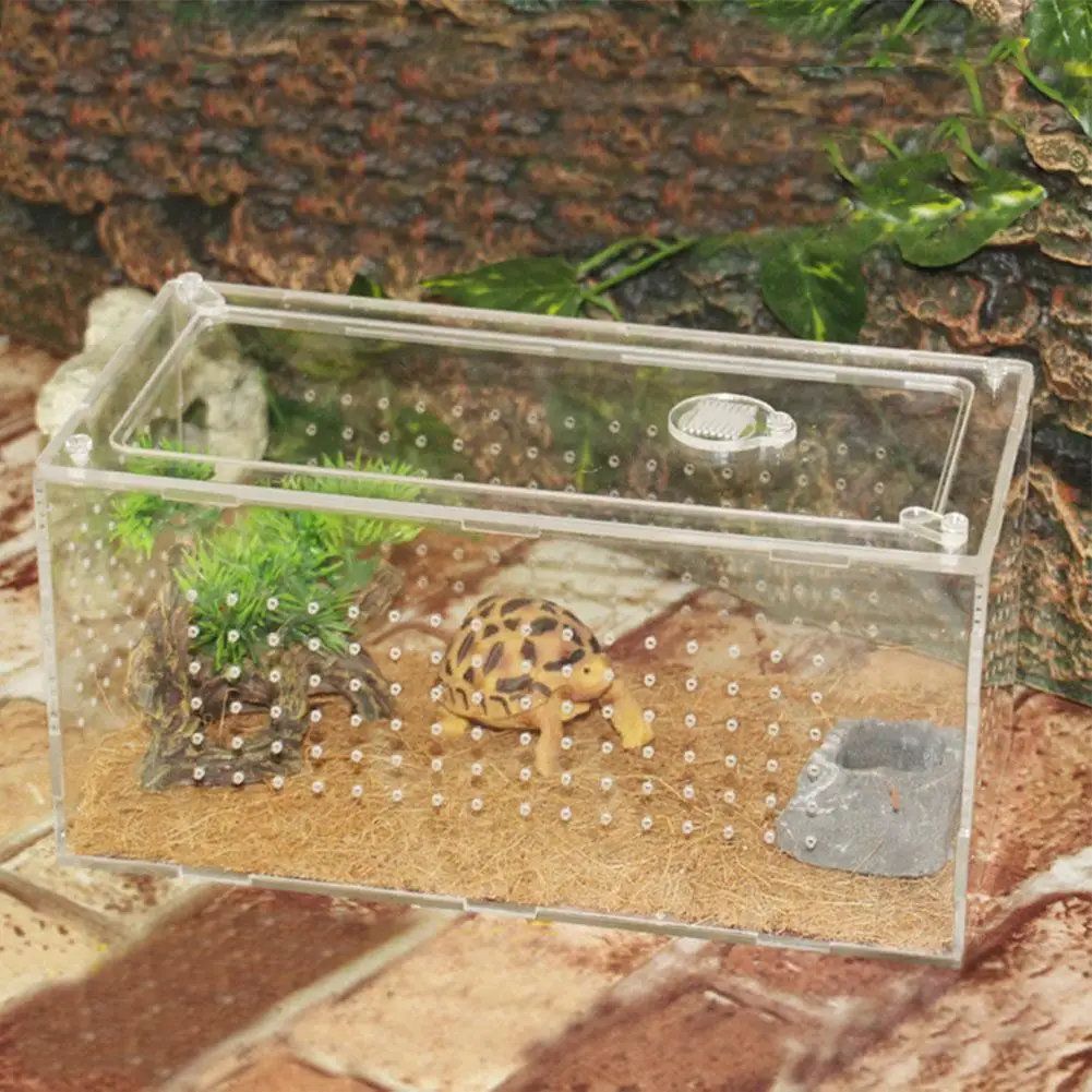 L/S размеры для разведения рептилий коробка прозрачные акриловые Террариум