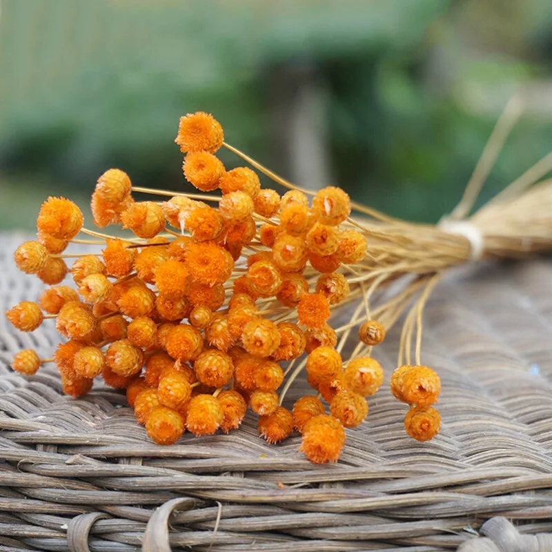 Flowers 50 Stems Dried for Arrangements Bundle Home Decor Photo Props Handmade Air-drying HG99 | Дом и сад