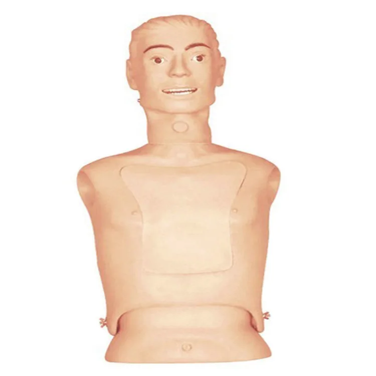 

Nasogastric Tube and Trachea Nursing Model Manikin Body