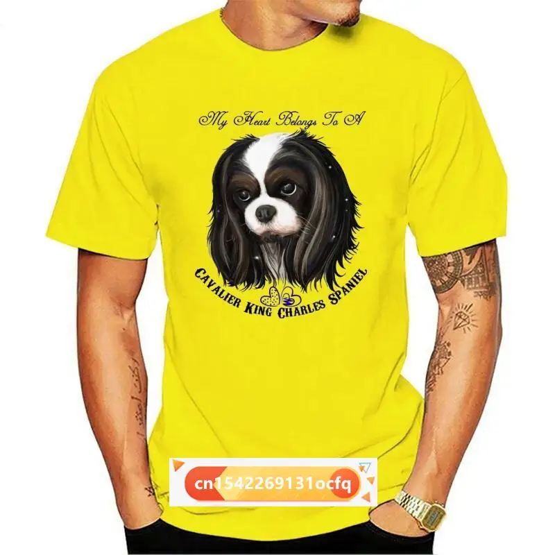 

Cavalier King Charles Spaniel Tricolor My Heart Dolman Sleeve T-shirt
