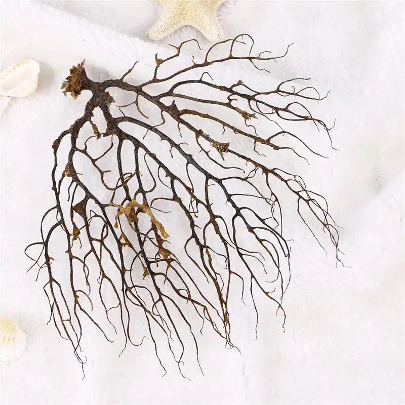 Веер для Черного моря украшение аквариума искусственные растения | Дом и сад