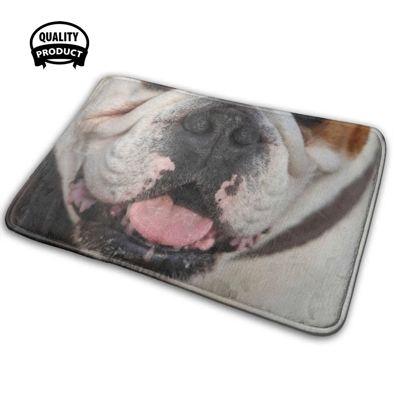 Забавный англоязычный бульдог рот 3D товары для дома коврик ковер подушка