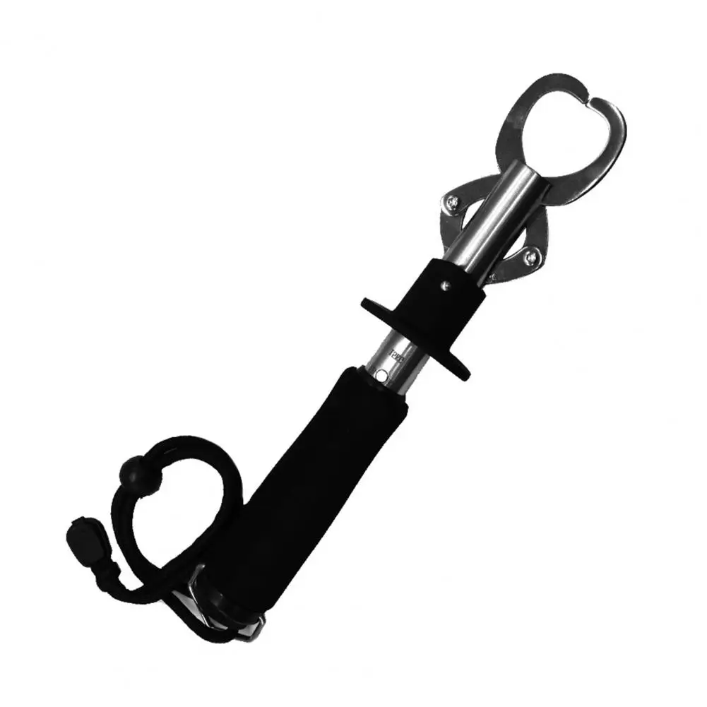 24 см Нержавеющая сталь Т образной формы с принтом рыбки контрольный Зажим