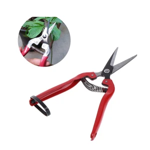 Garden Plant Pruning Shears Cutter Gardening Tools Bonsai Grass Flower Scissors Secator Grafting Pruning Pruning New Hand Tool 10 item image