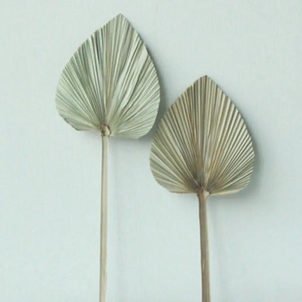 10 unids/set secos Palm Spears hojas de palma secas hojas de palma flores DIY decoraci&oacute;n de oficina KYY1539-3