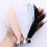 100 pcsbundle ostrich feathers for carnival dress wedding clothes sewing diy jewelry accessory craft plume decor 10 1510 18 cm
