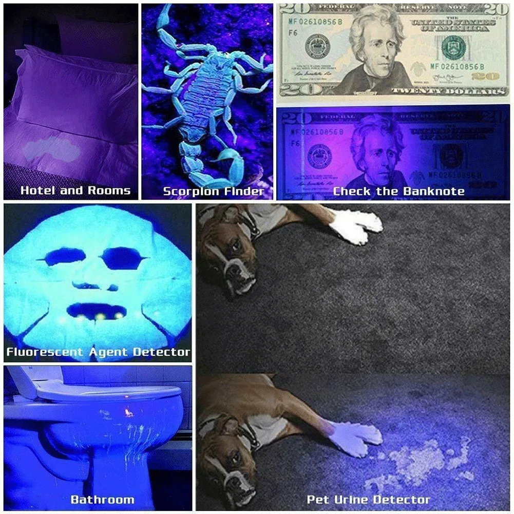 

Aluminum UV 21 LED Flashlight Black Light Bright Light Light Weight Torch