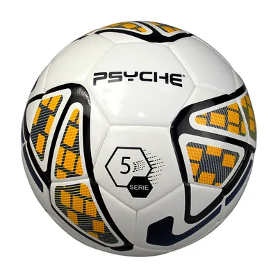 

PSYCHE International Standard for Football Competition training for Primary and Middle School students in the psyche High School