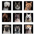 Украшение дома Алмазная вышивка крестиком на рисунке, с нашивками в виде животных, мозаичные камни в форме ромба круглый льняное настенное подарок ручной работы