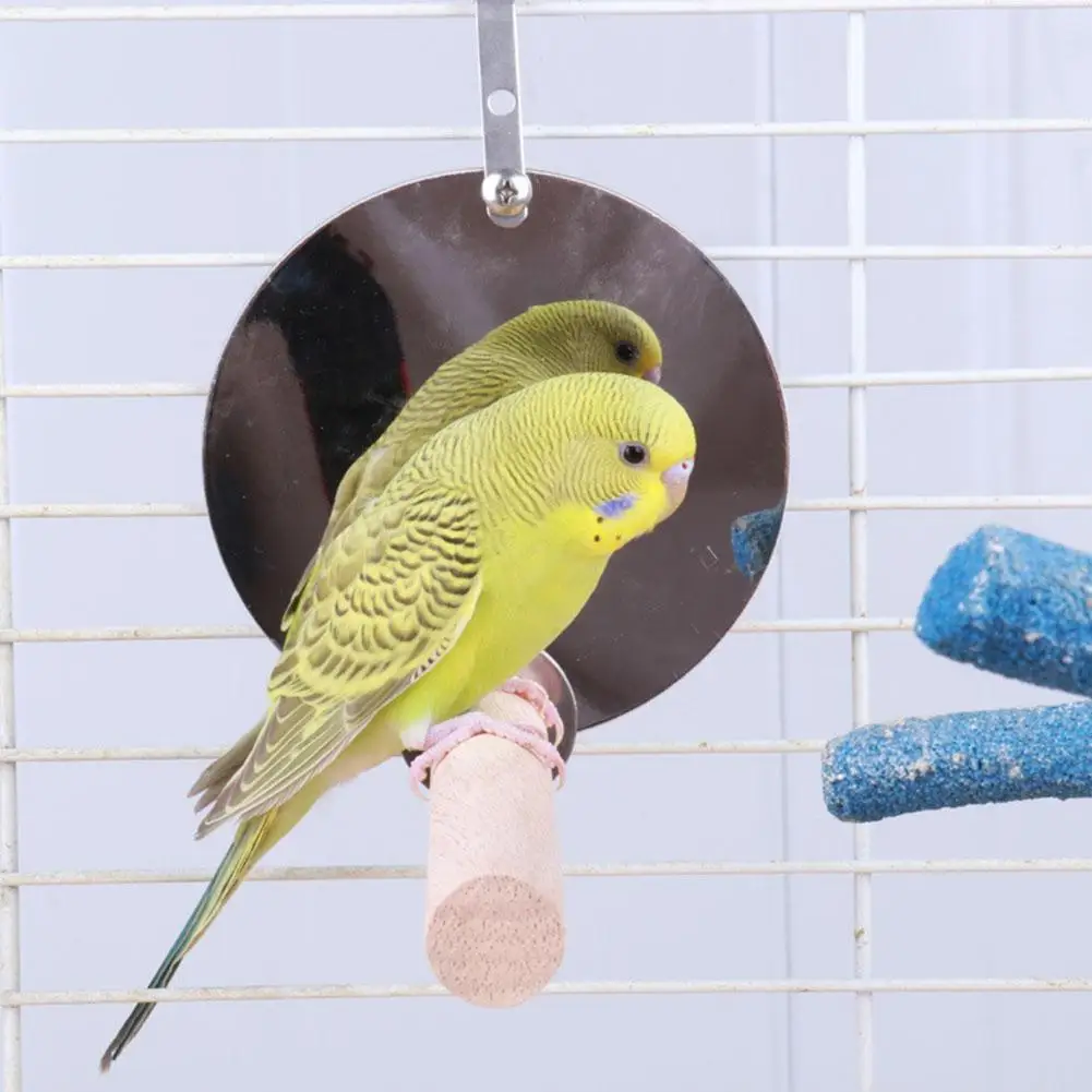 Птичье игрушечное зеркало в виде попугая качели деревянная подставка попугай