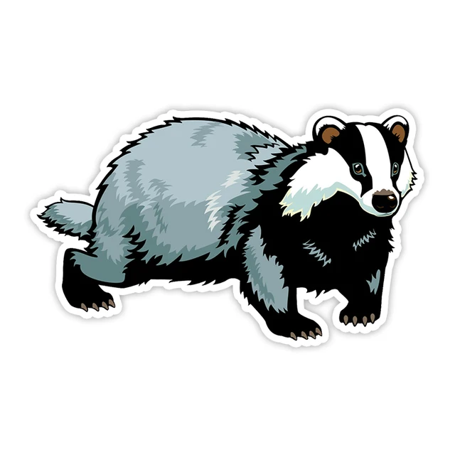 Барсук детский рисунок