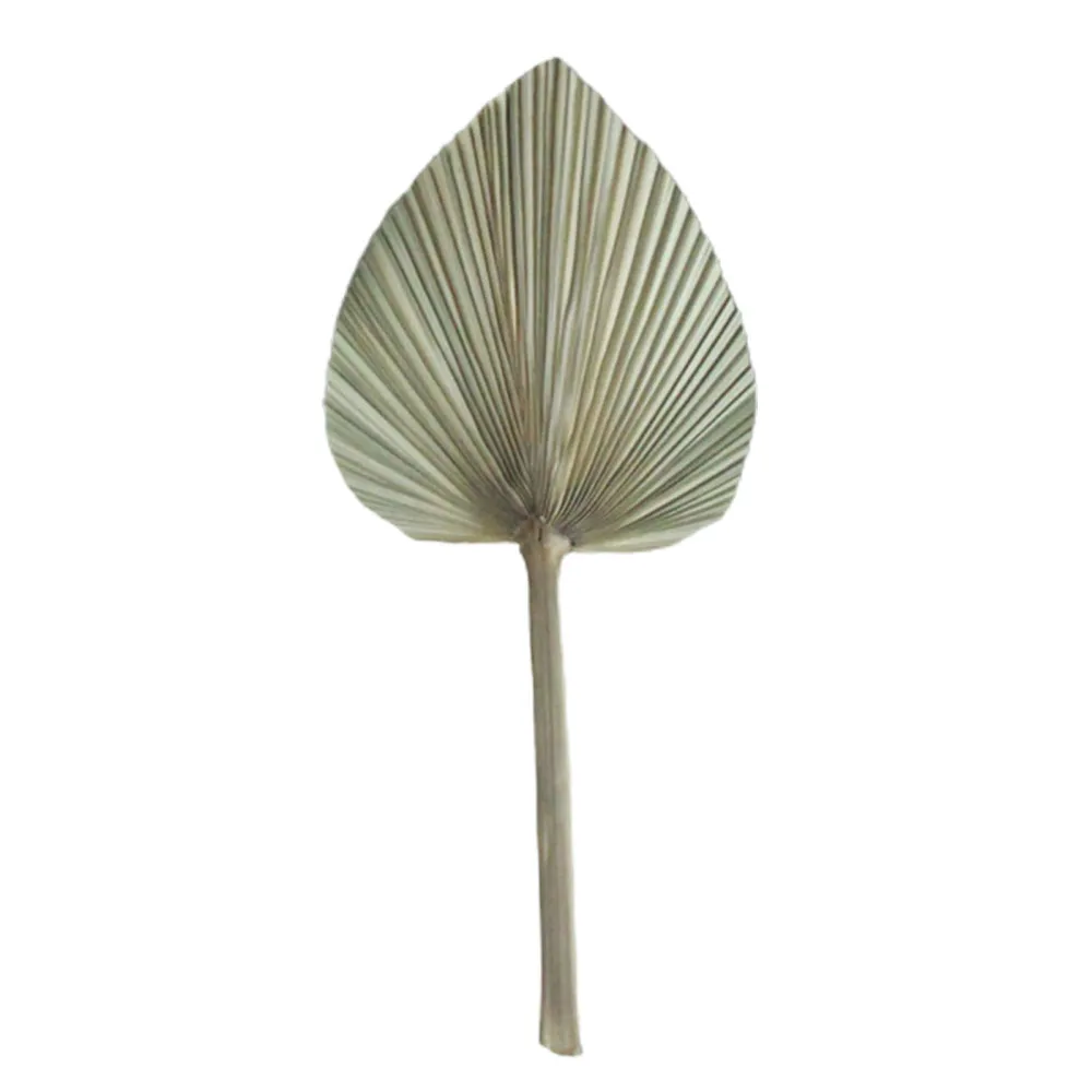 

Party Palm Decor Artificial Flower Dried Festival Supplies Wedding Plant Leaves Branch Nordic Home Decoration Household Products