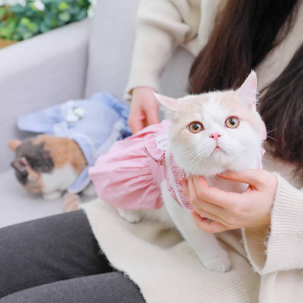 Костюм для домашних животных свадебная одежда кошек домашняя котят