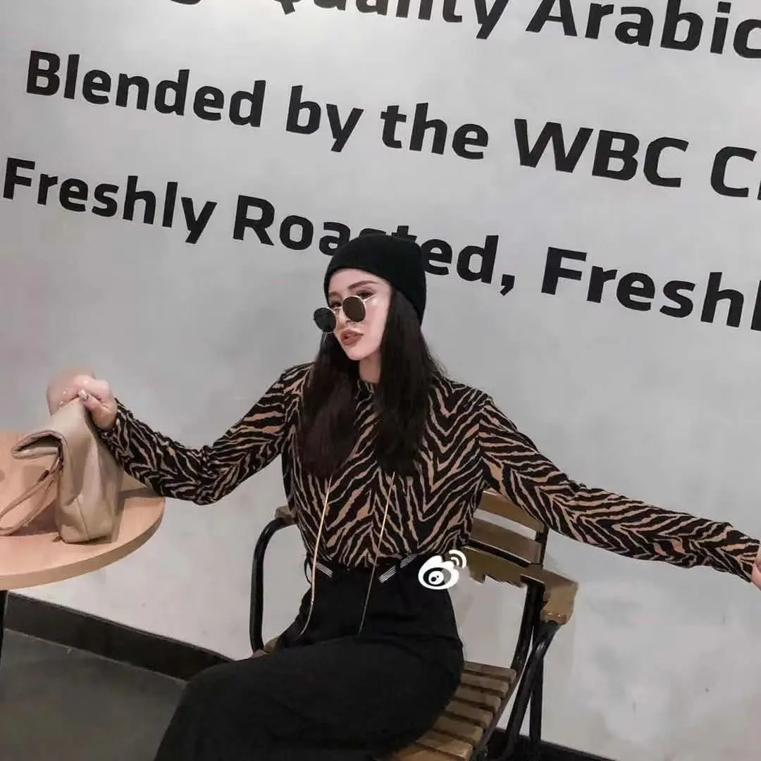 

Fashion Zebra Crewneck Loose Backing Long Sleeve T-shirt Women