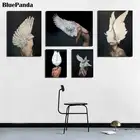 Красивое перо для женщин и птиц, художник Amy Judd, абстрактный холст, постер, картина, все изображения, принт, украшение для гостиной, спальни