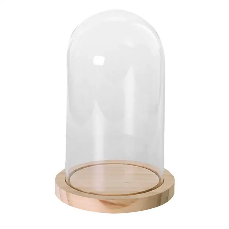 Transparent glass bell suction jars with wooden floor for flowers plants gift L | Дом и сад
