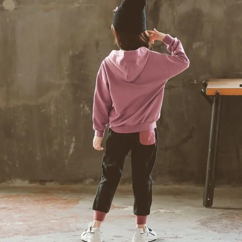 Комплекты одежды для девочек осенне-зимний детский костюм из толстовки с