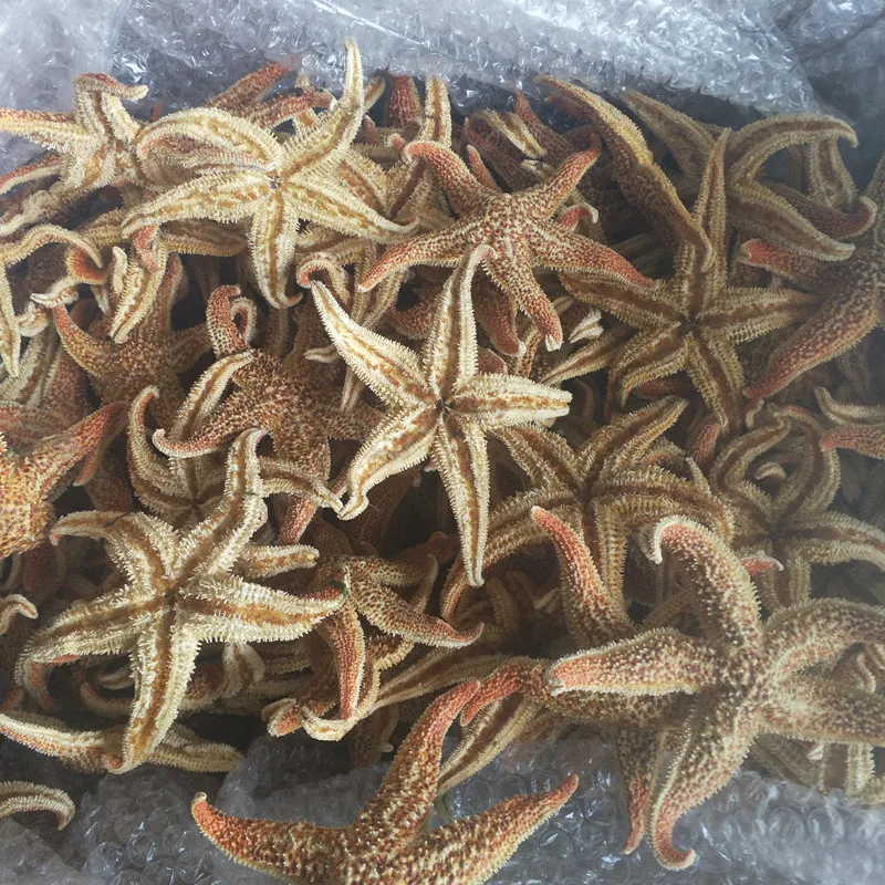 5 шт. натуральная морская звезда шипы Морская звезда высушенные особи Бэйдайхэ оболочки Средиземноморский Стиль Свадебные украшения