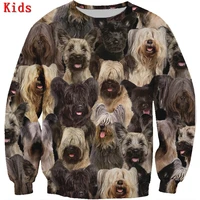 you will have a bunch of skye terriers 3d printed hoodies boy girl long sleeve shirts kids animal sweatshirt