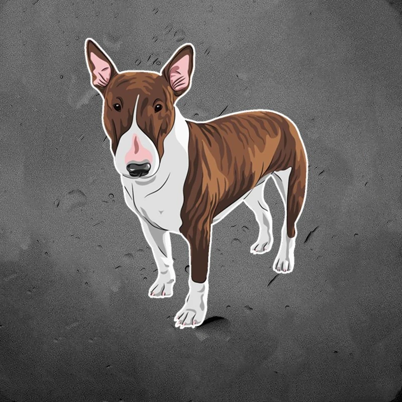 

SZWL Cartoon English Bull Terrier Pit Bull Car Sticker Pet Dog Decals Auto Motorcycle Accessories Stickers Waterproof,10cm*20cm