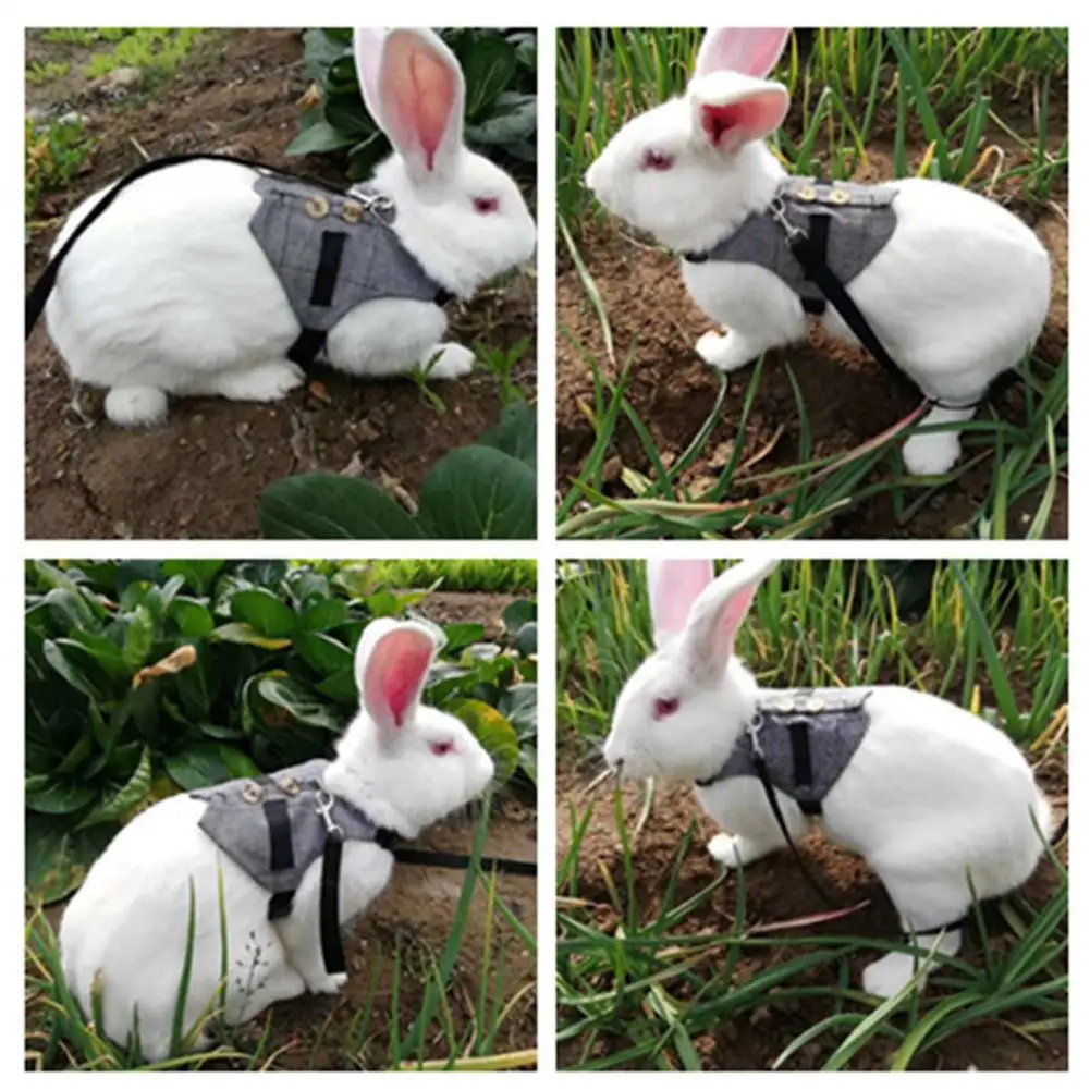 Жилет с кроличьими упряжками комплект тяговой веревки Регулируемый мягкий