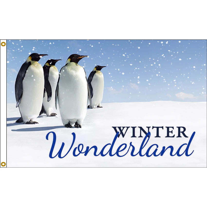 Зимний Флаг Страны чудес x 90 см баннер яркие цвета украшение подарок акция дом 100D