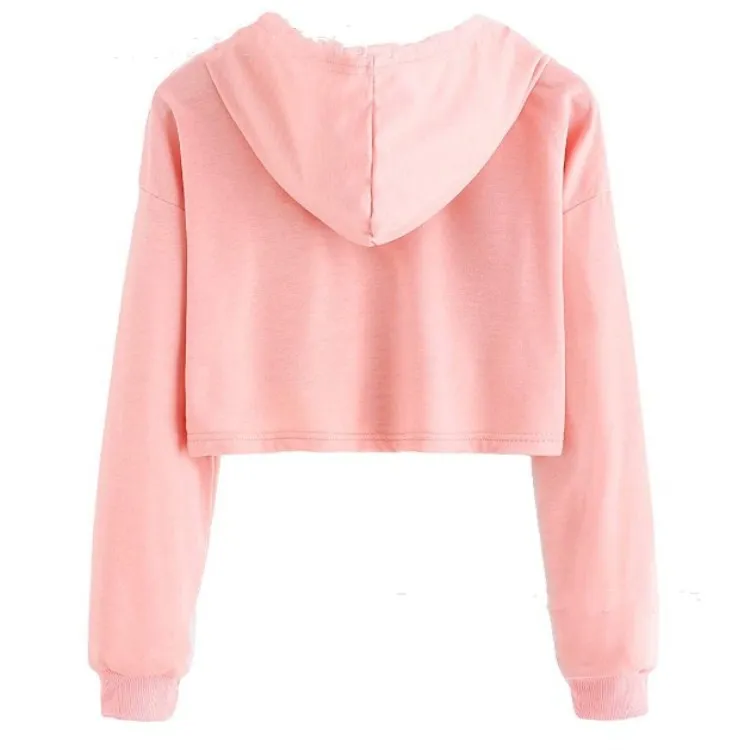 

womens hoodies pullover gothic clothes 2020 streetwear women hoodie harajuku pink festival clothing print casual new