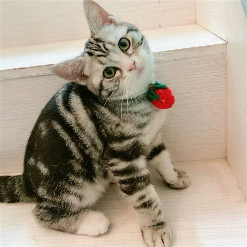 Модный вязаный ошейники для домашних животных Регулируемый собака Кот воротники