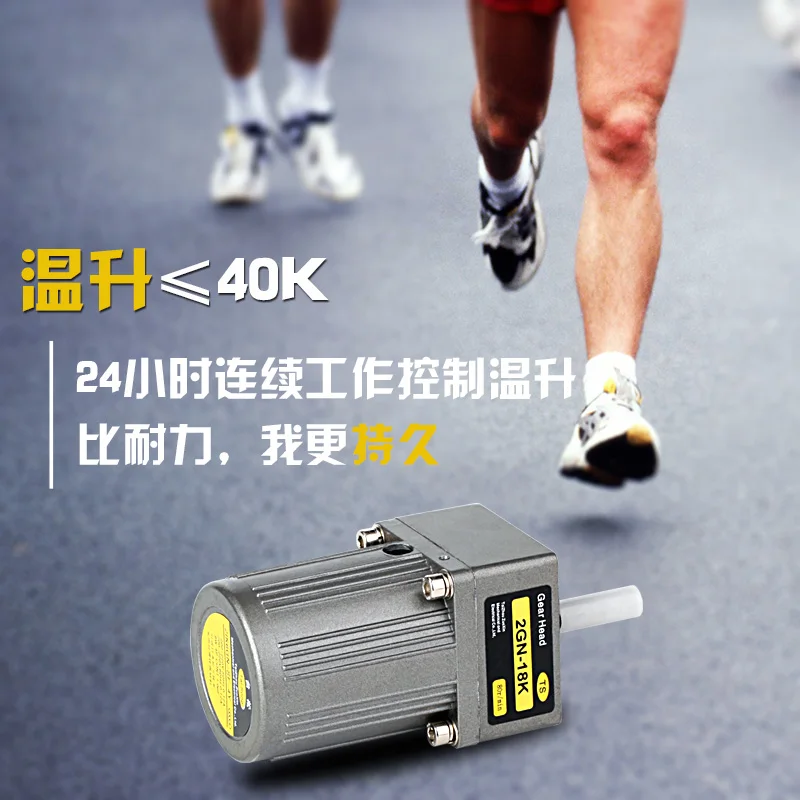 AC220V 50 Гц/60 Гц 6 Вт AC мотор-редуктор высокий крутящий момент Реверсивный мотор