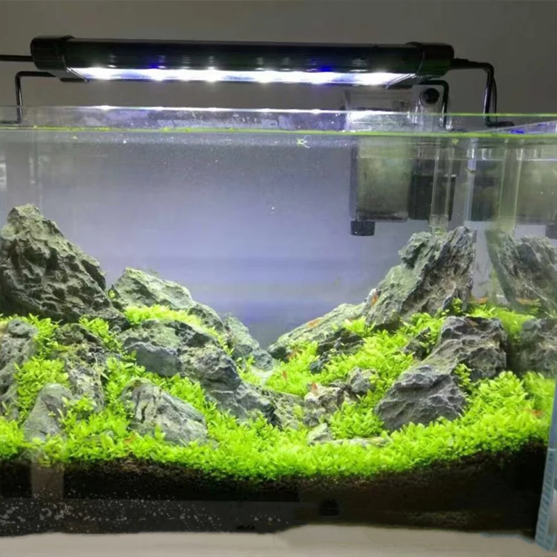 Декор для аквариума семена водной травы посылка на переднюю поверхность