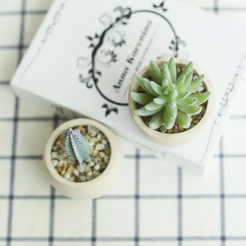 Керамика сочные ящик для комнатных растений ваза Маленькая в скандинавском