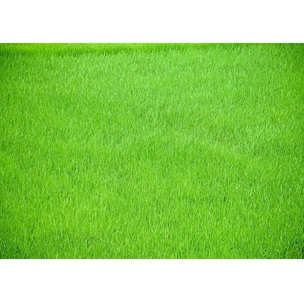 Пастбища фото фон напечатанный на компьютере задний с принтом для съемки в