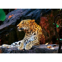 cheetah the paper puzzle 1000 pieces ersion paper jigsaw puzzle adult childrens educational toys