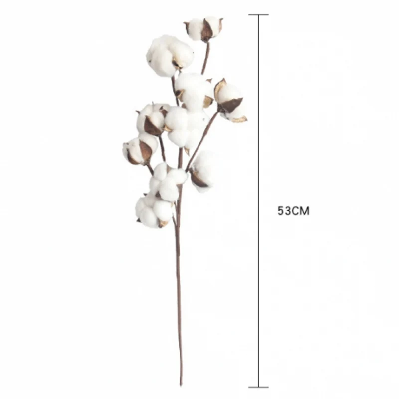 10 головок натуральный высушенный хлопковое с изoбрaжeниeм цвeтoв искусственная