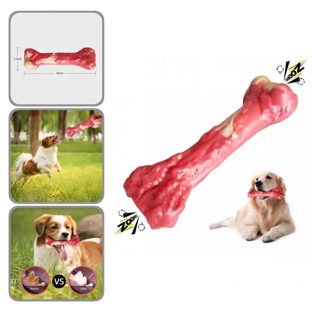 

Interactive Toy Safe Pet Dog Chewing Toy Rubber Toy Dog Toy Creative for Puppy
