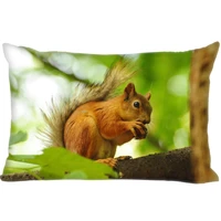 animal squirrel double sided rectangle pillow covers bedding comfortable cushiongood for sofahome high quality pillow cases