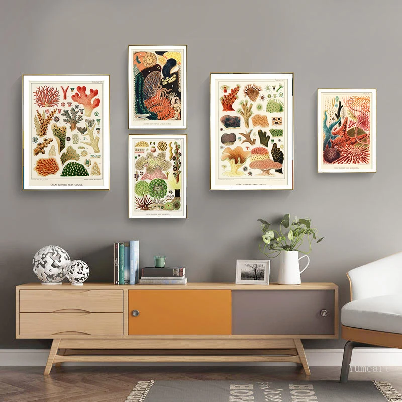 

Marine Creatures Vintage Poster Corals Reef Illustrations Sea Anemones Diagram Print Wall Art Canvas Painting Antique Picture